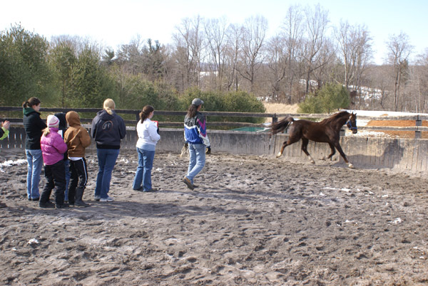 4-H