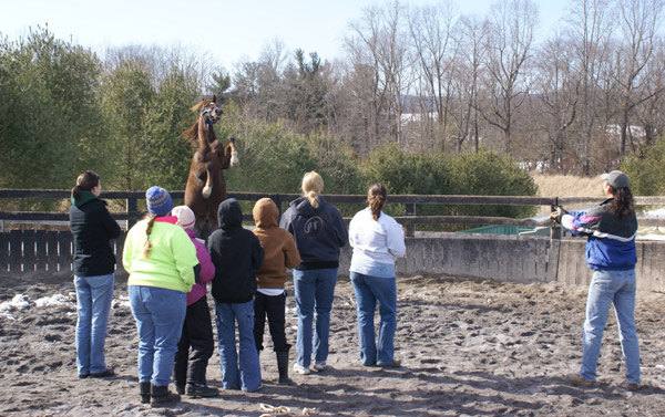 4-H