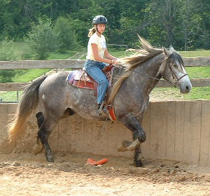 Alli & Zeke