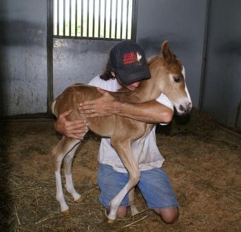 Tune's Colt