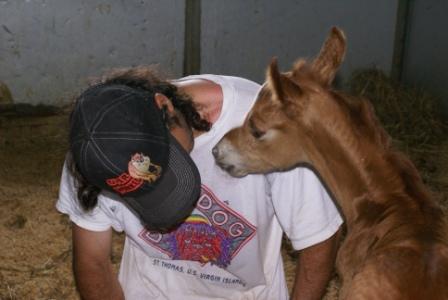 Tune's Colt