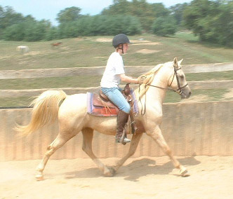 Beau