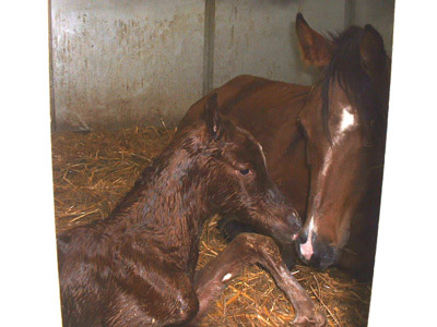 Just Born