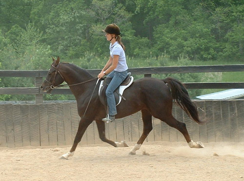 Brooke & Junior