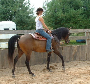 Wallace & Brooke