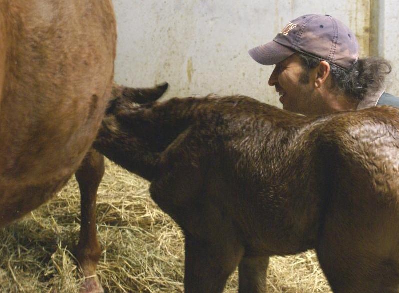 DeeDee Filly