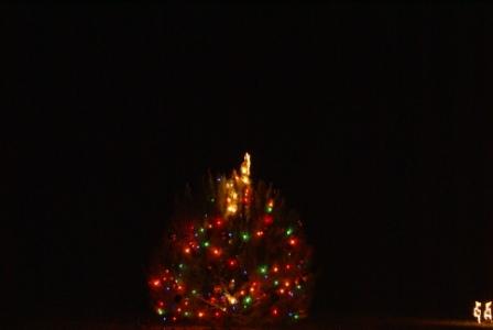 Christmas 208