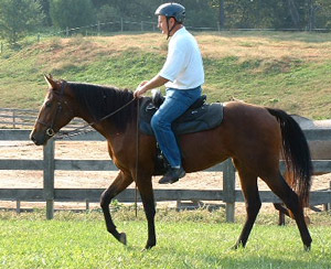 Trail Riding