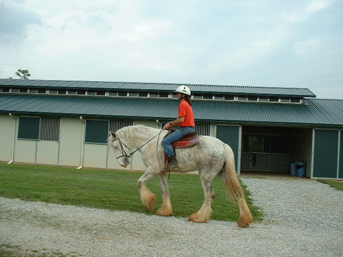 Elmer