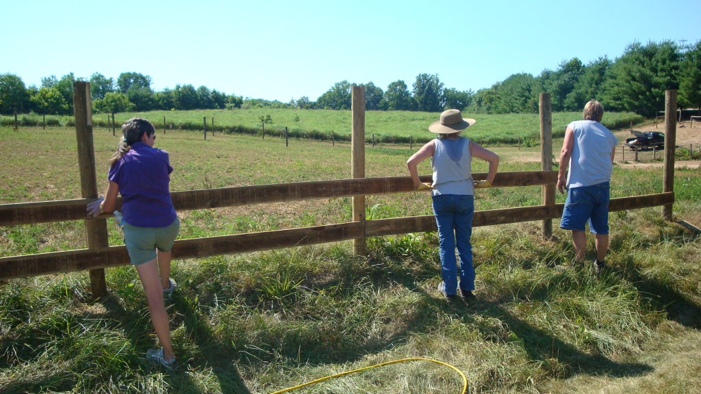 Fence Fixing