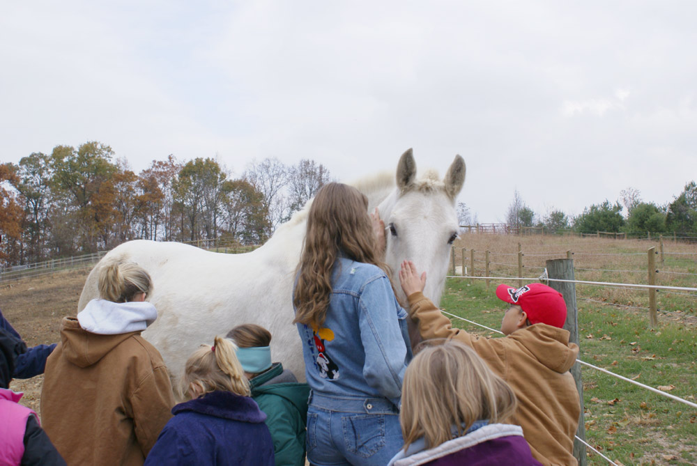 Floyd 4-H