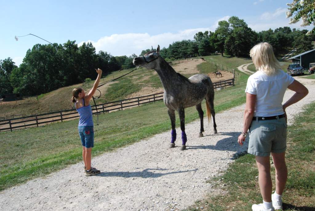 July 2010