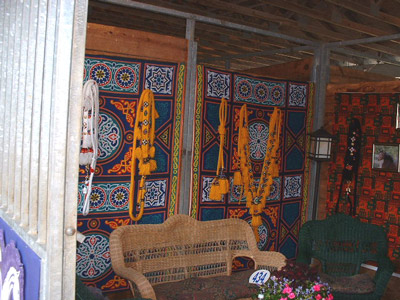 Inside Stall