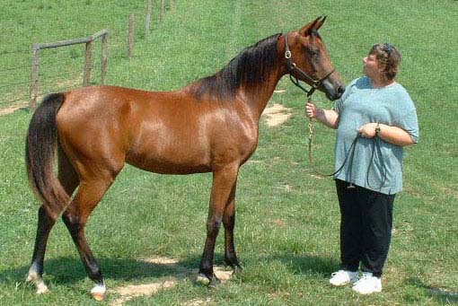 Jeanetta & Miss Ellie