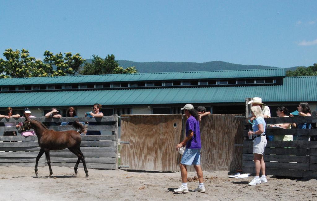 July 2010