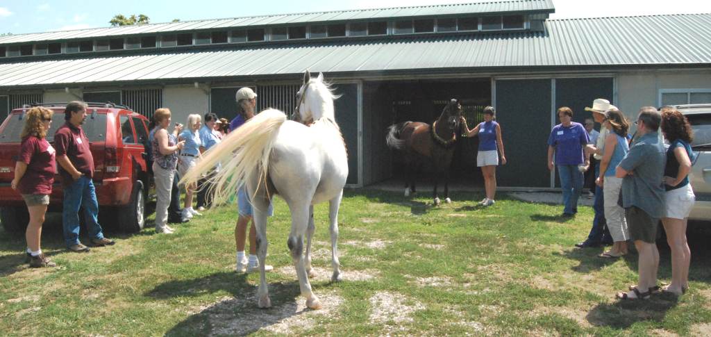 July 2010
