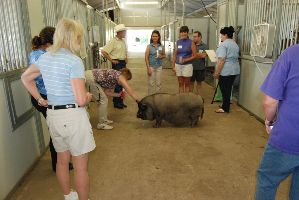 July 2010