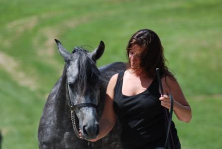 Halter Training
