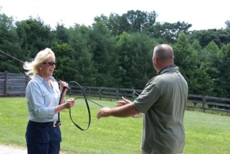 Halter Training