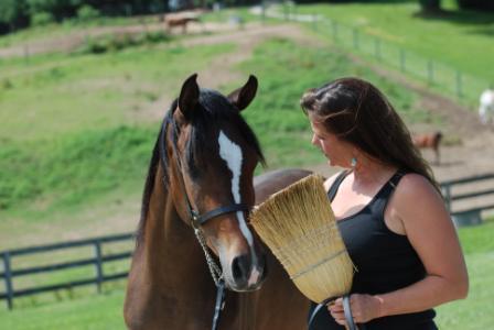 Halter Training