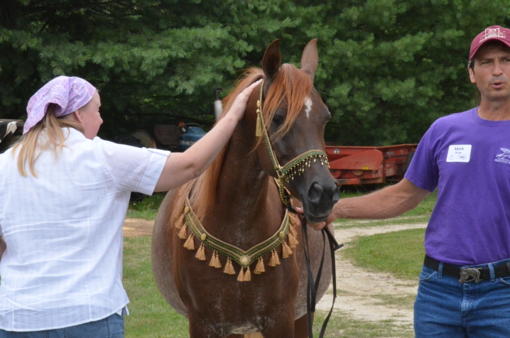 June 2011