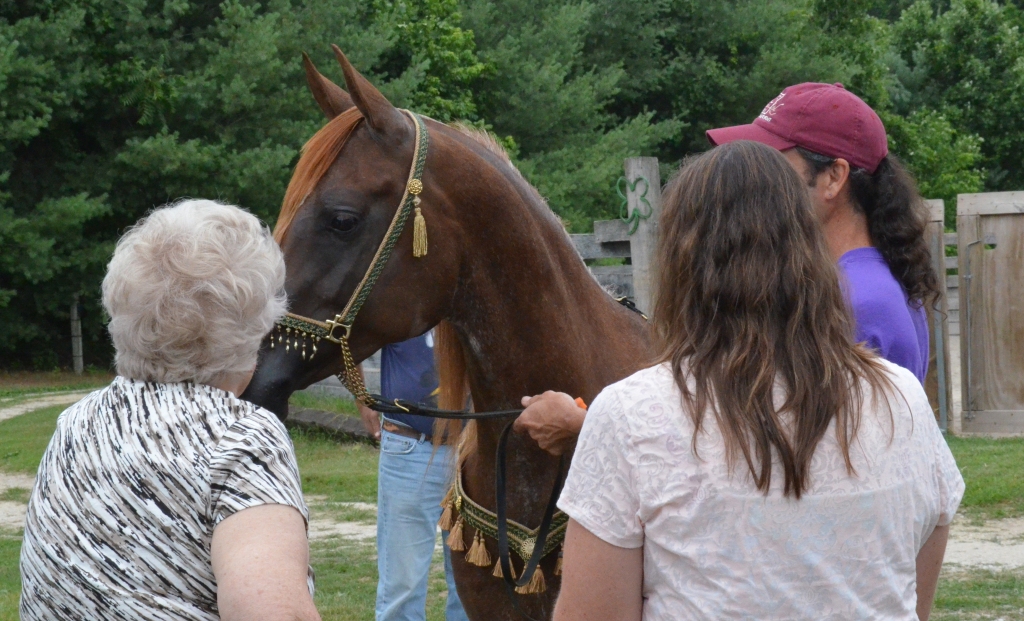 June 2011