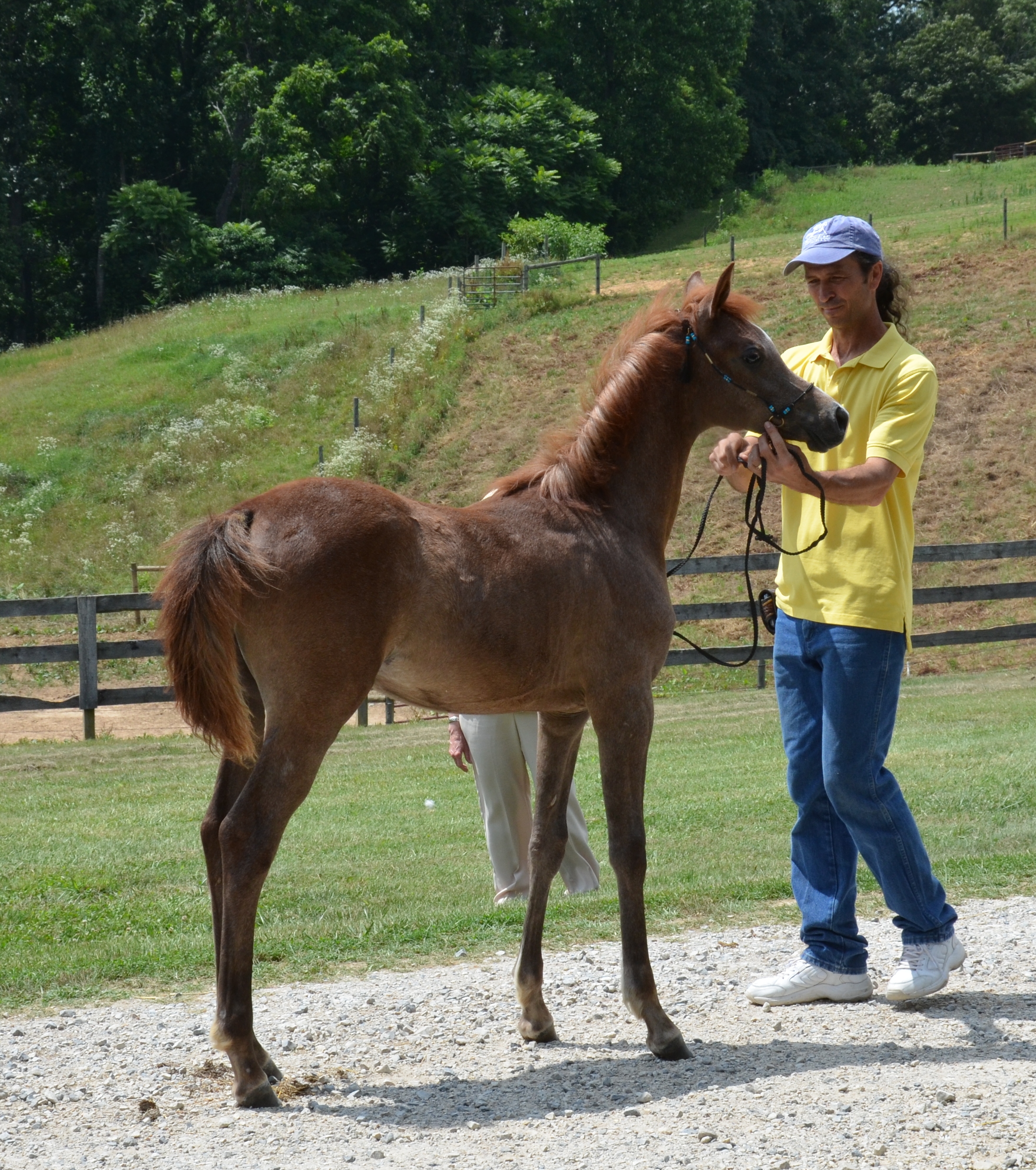 June 2011