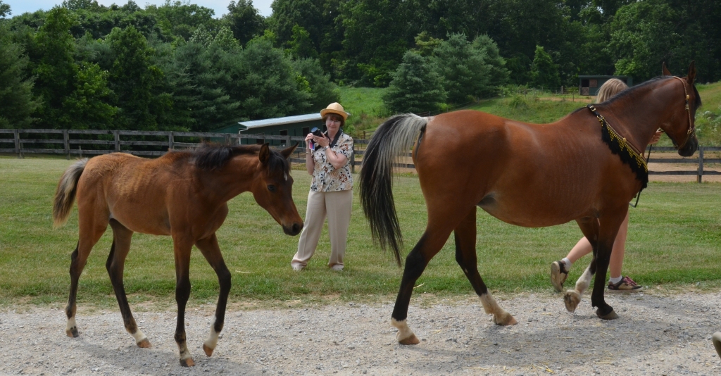 June 2011
