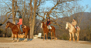 Trail Ride