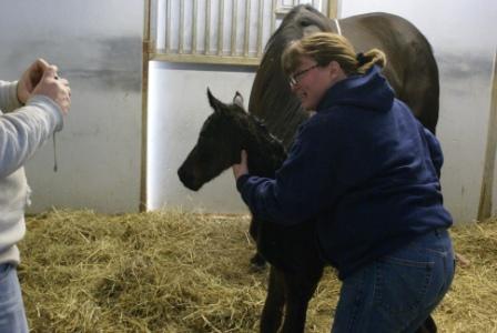 Luckie's Filly