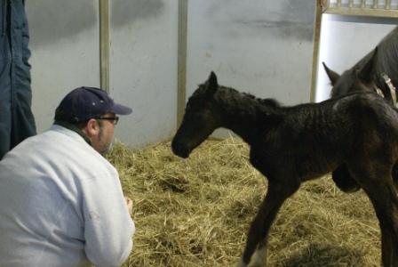 Luckie's Filly