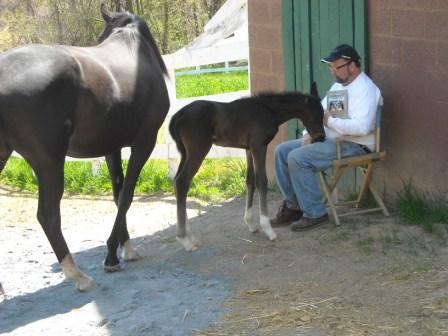 Luckie's Filly