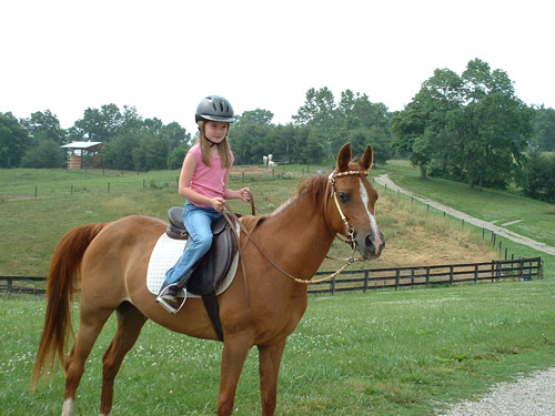 Mallory & 
Mercy