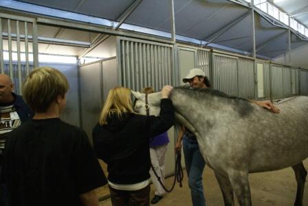 Seminar