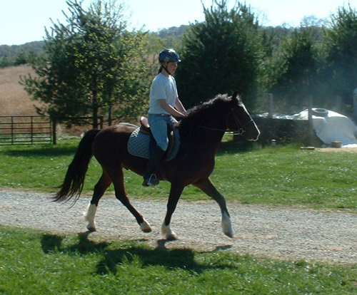 Grace on Merlin