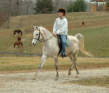 Misty with Brooke