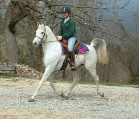 Nafis & Cary