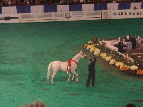 Nationals