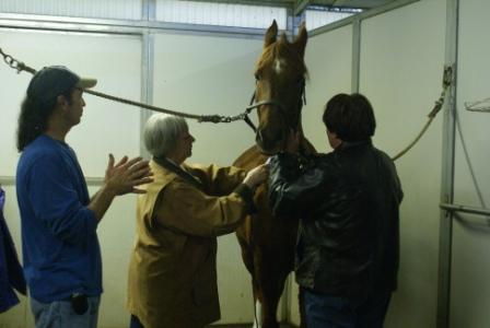 Seminar