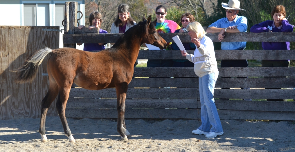 November 2011