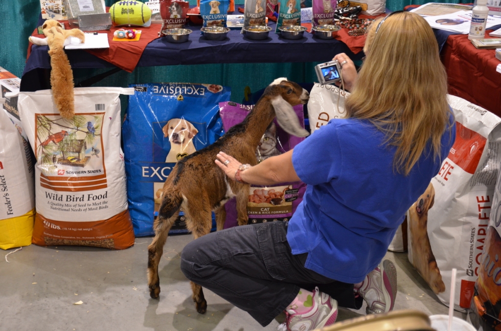 Pet Expo