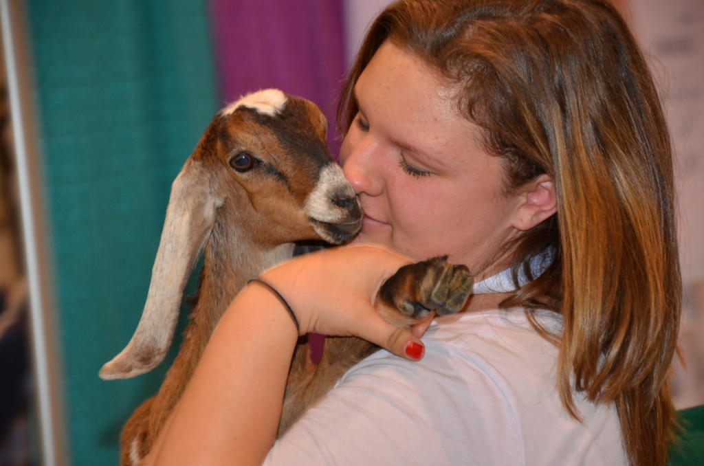 Pet Expo