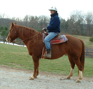 Sampson