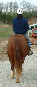 Sampson