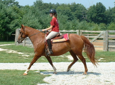 JR Sassy Girl
