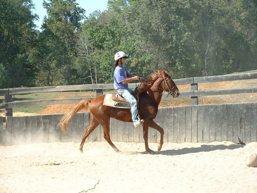 Mark & Stormy