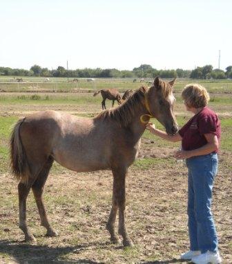 Texas Trip