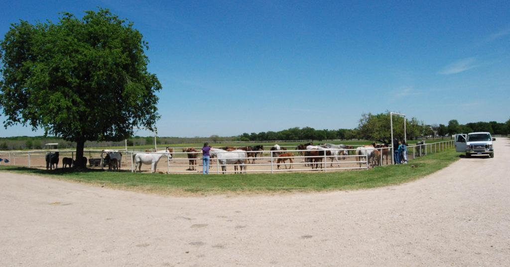 Texas Trip