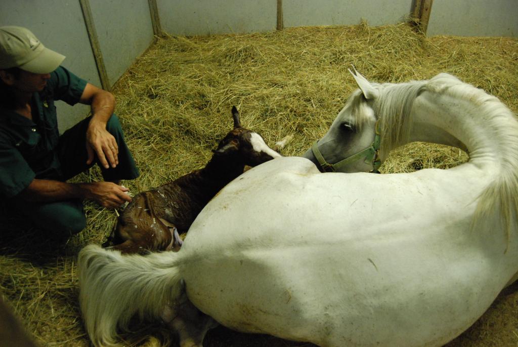 Mark with newborn