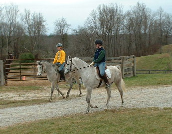 TK & Misty